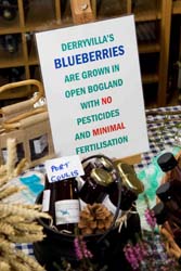 Irish Food Writers Guild Awards - Blueberries